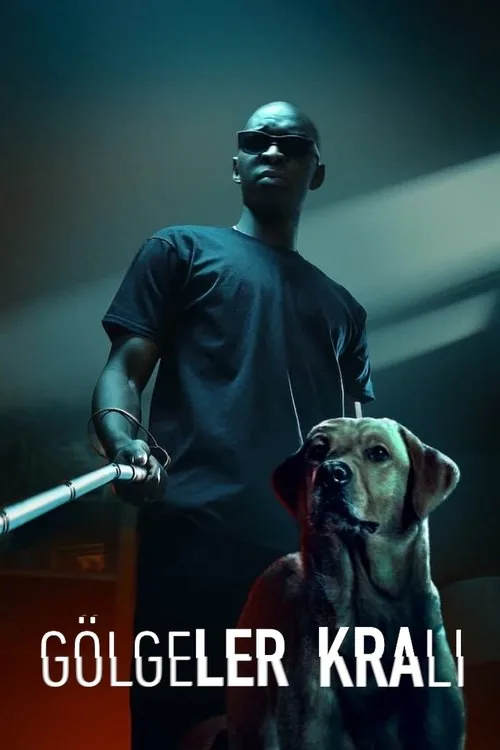 Gölgeler Kralı film afişi