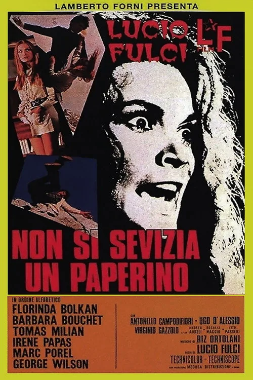 Linç film afişi