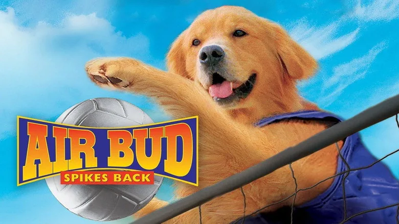 Harika Köpek 5 sahne 1