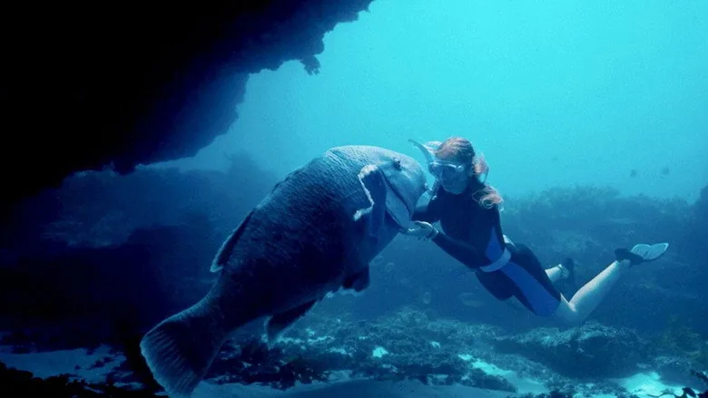 Blueback sahne 2