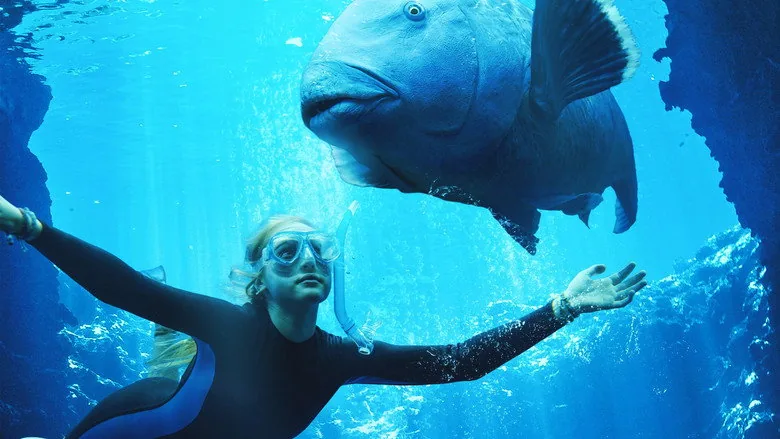 Blueback sahne 5
