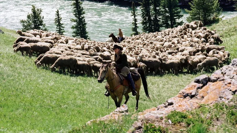 Brokeback Dağı sahne 3
