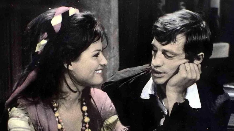 Sevimli Haydut sahne 2