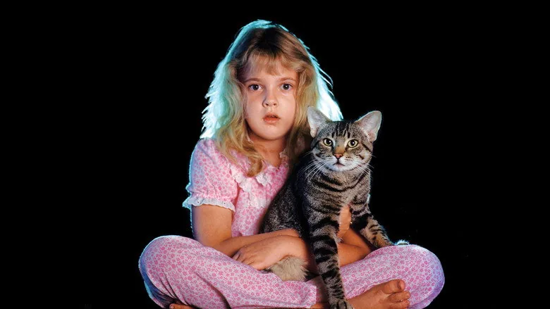 Kedi Gözü sahne 3