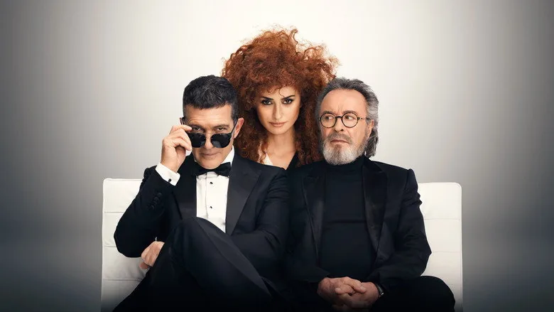 Resmi Yarışma sahne 1