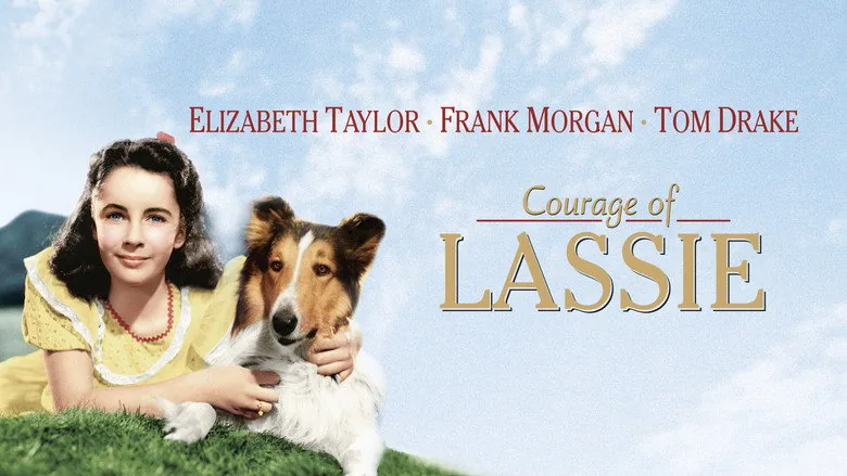 Courage of Lassie sahne 1