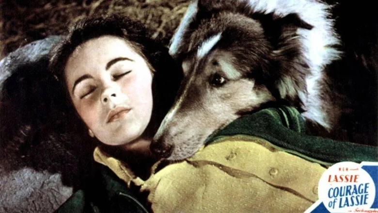Courage of Lassie sahne 2
