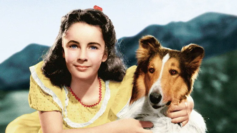 Courage of Lassie sahne 3