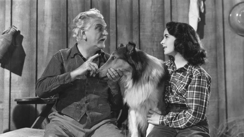 Courage of Lassie sahne 4