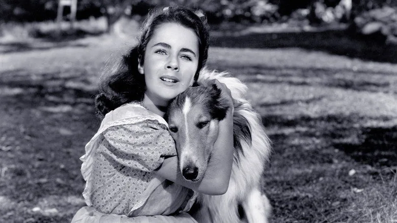 Courage of Lassie sahne 5