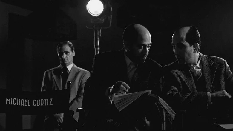 Curtiz sahne 3