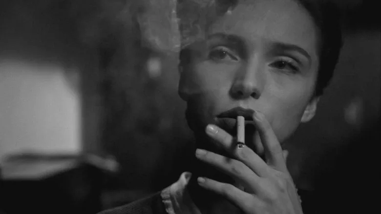Curtiz sahne 5