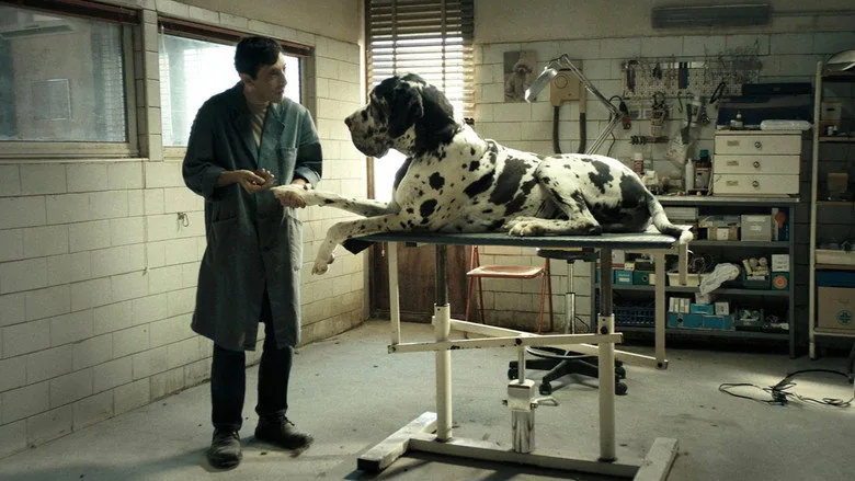 Dogman sahne 4