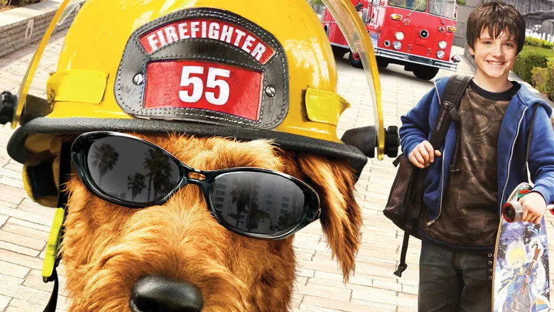 Yıldız Köpek İşbaşında sahne 1