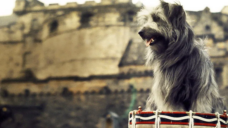 Vefalı Köpek Bobby sahne 2