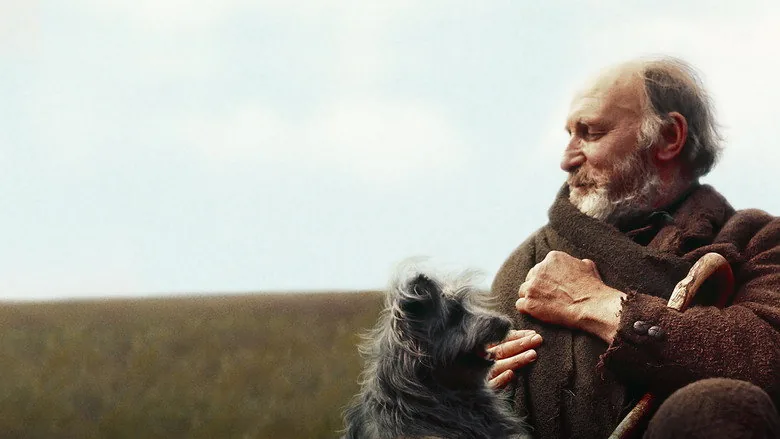 Vefalı Köpek Bobby sahne 3