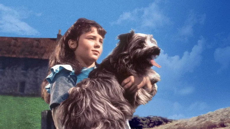 Vefalı Köpek Bobby sahne 4