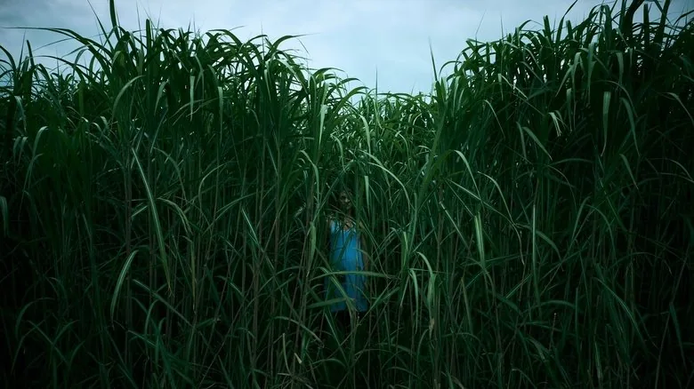 In the Tall Grass sahne 1