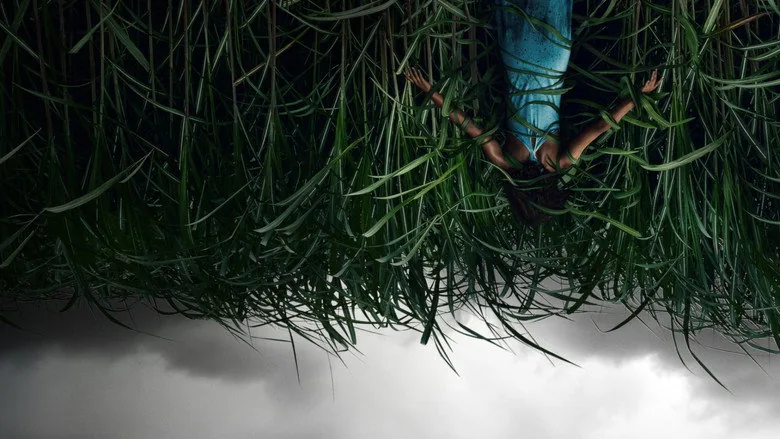In the Tall Grass sahne 4