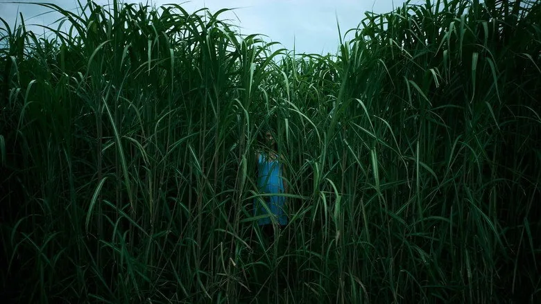 In the Tall Grass sahne 5