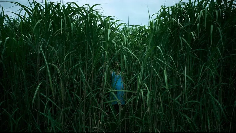 In the Tall Grass sahne 6