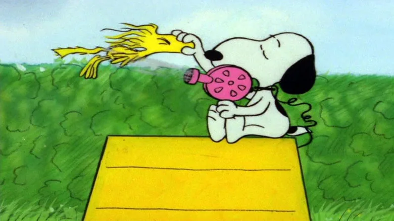 It's a Mystery, Charlie Brown sahne 2