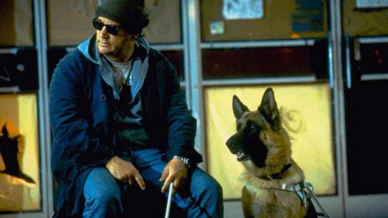 K-9: P.I. sahne 4