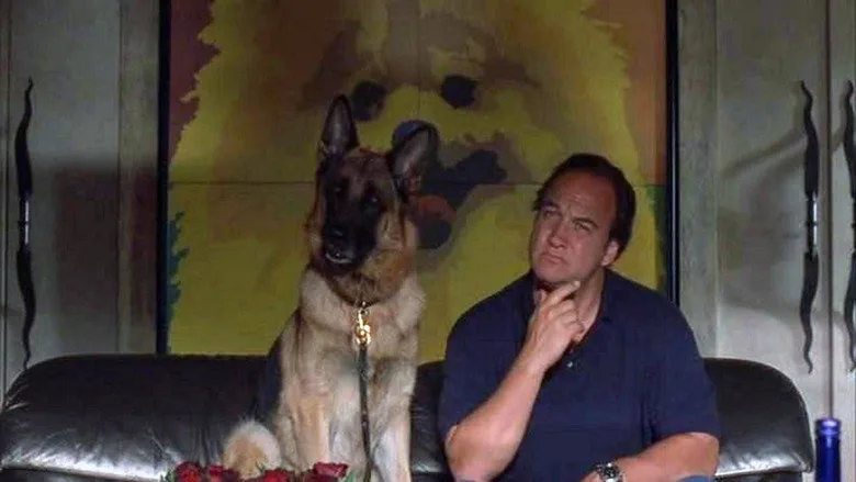 K-9: P.I. sahne 5