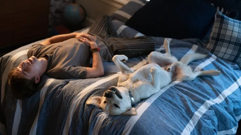 Kayıp Köpek sahne 1