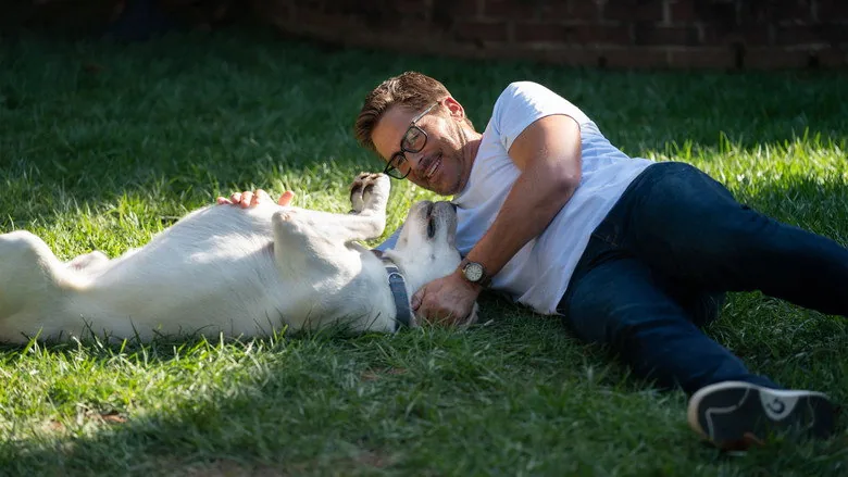 Kayıp Köpek sahne 2