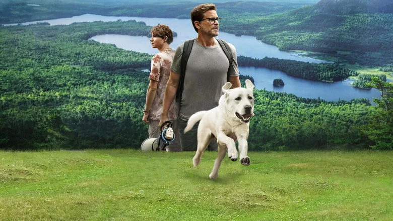 Kayıp Köpek sahne 6