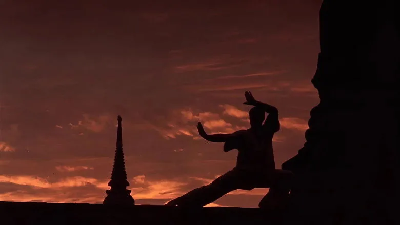 Kickboxer sahne 6