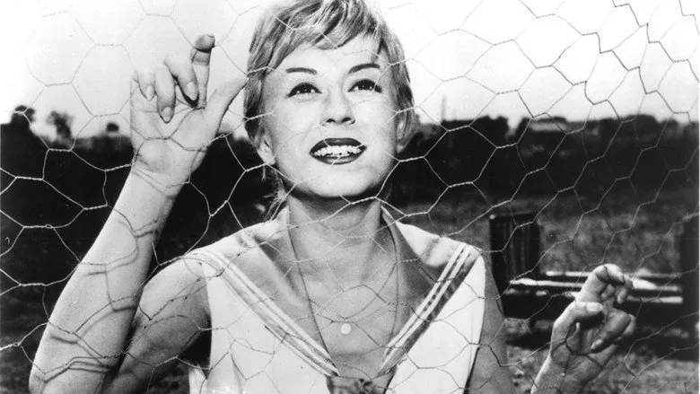 Cabiria'nın Geceleri sahne 6