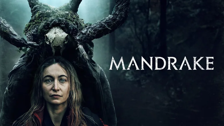 Mandrake sahne 2