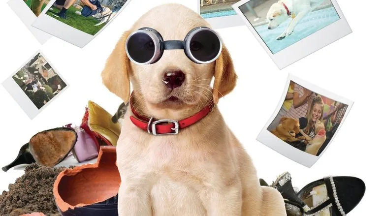 Marley ve Ben 2: Gençlik Yılları sahne 1