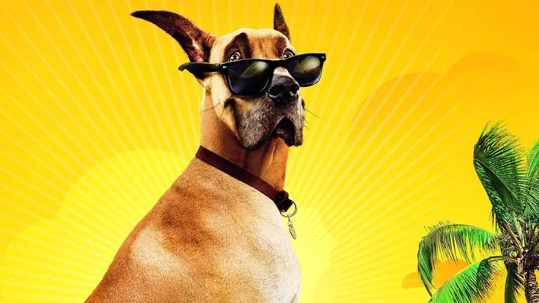 Çılgın Köpek sahne 4