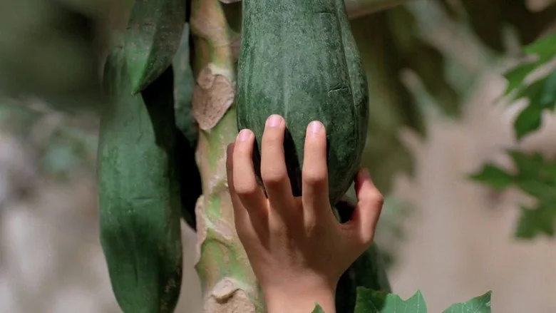 Yeşil Papaya'nın Kokusu sahne 4