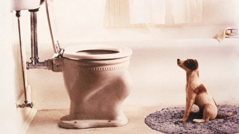 Köpeğim Skip sahne 2