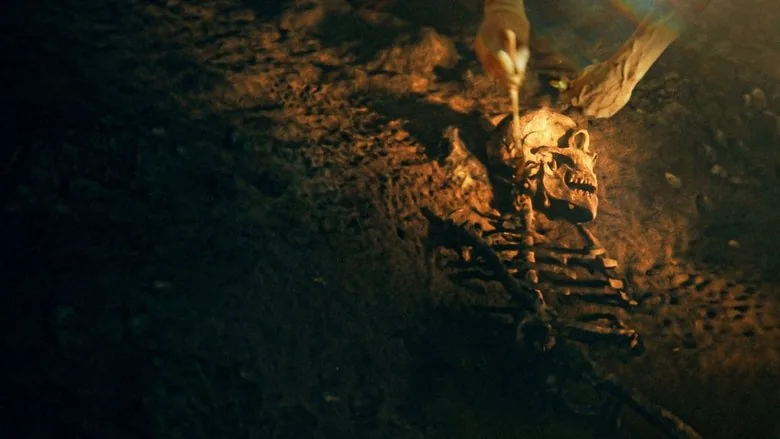 Neandertallerin Sırları sahne 1