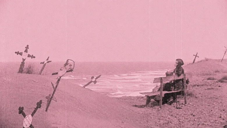 Nosferatu, Korkunun Senfonisi sahne 3
