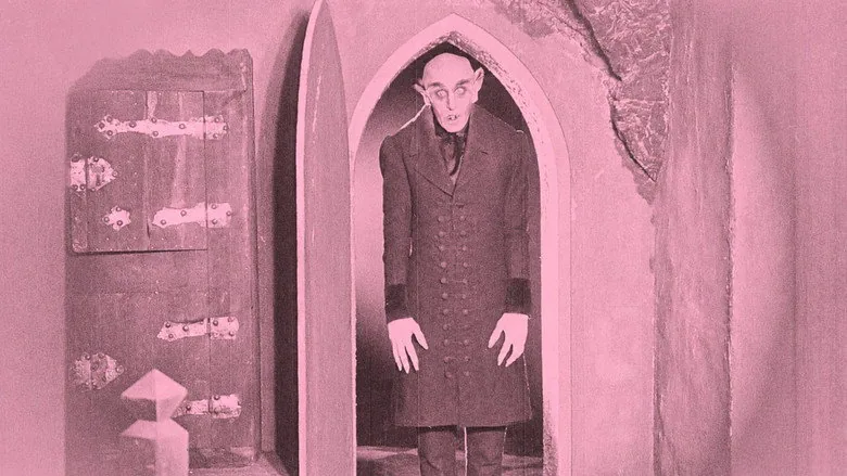 Nosferatu, Korkunun Senfonisi sahne 4