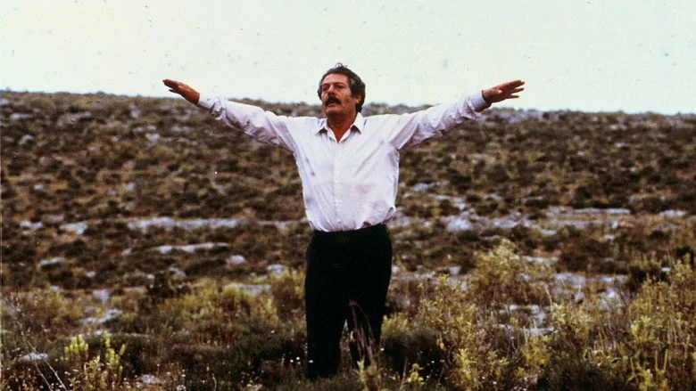 Arıcı sahne 1
