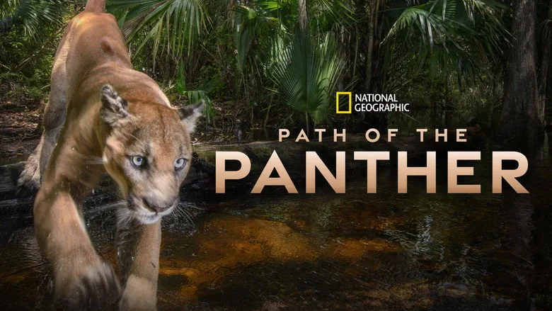 Path of the Panther sahne 6