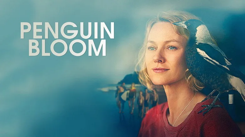 Penguin Bloom sahne 6