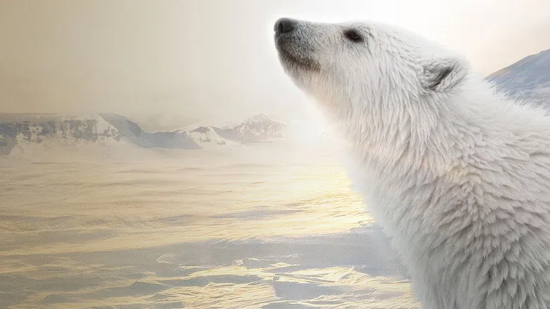 Polar Bear sahne 3
