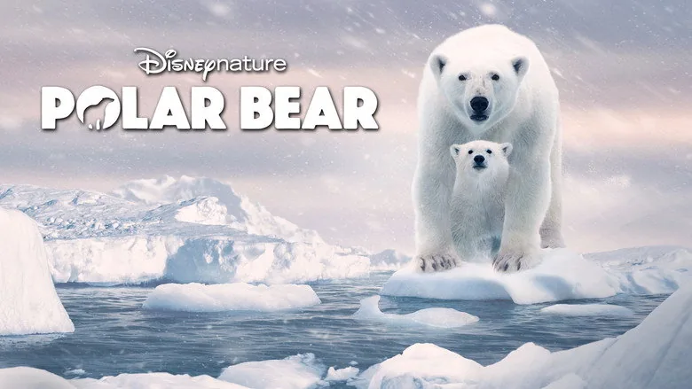 Polar Bear sahne 5