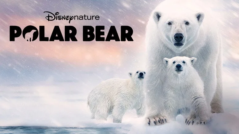 Polar Bear sahne 6