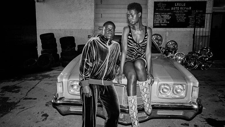 Queen & Slim sahne 6