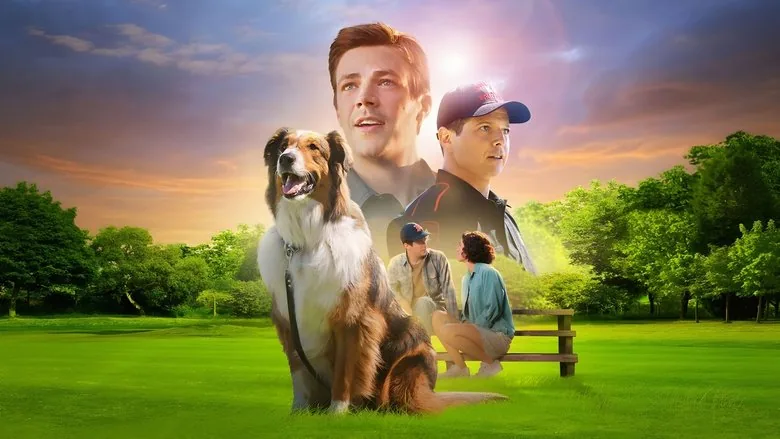 Kurtarma Köpeği Ruby sahne 1