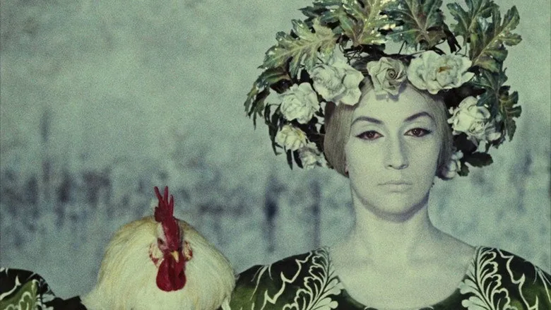 The Color of Pomegranates sahne 3